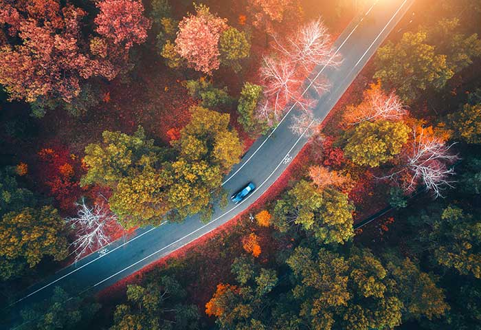 9 Tips for Fall Car Care Month